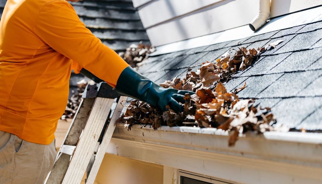 Gutter cleaning service